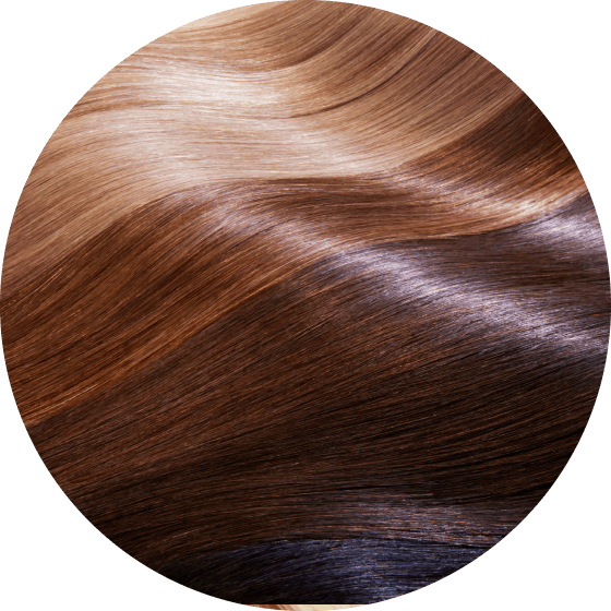 髪の毛の拡大図