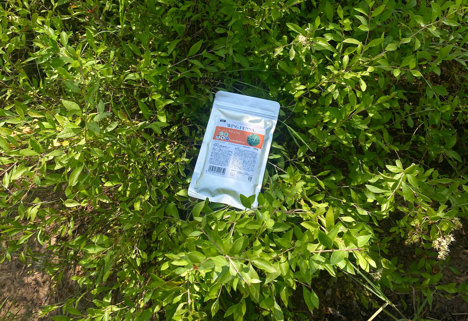 ウィングベルの畑とヘナの写真