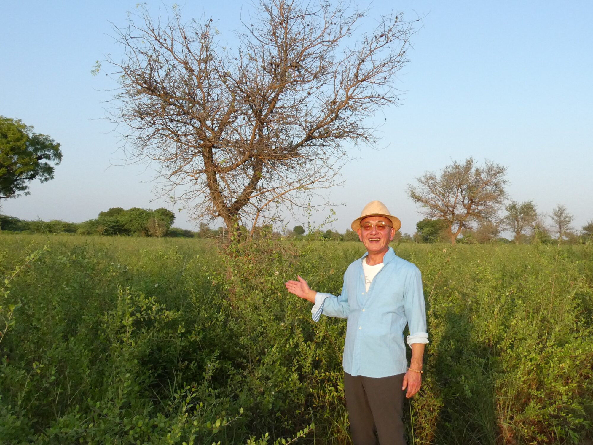 社長とヘナの畑
